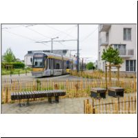 2025-05-29 T10 Chemin Vert 4055.jpg